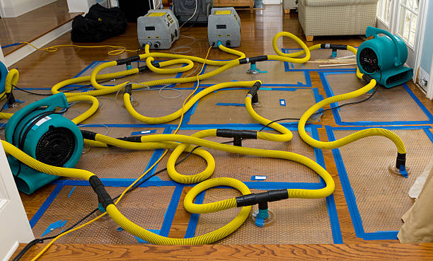 Professional Water Damage Restoration technician working in Brentwood, PA